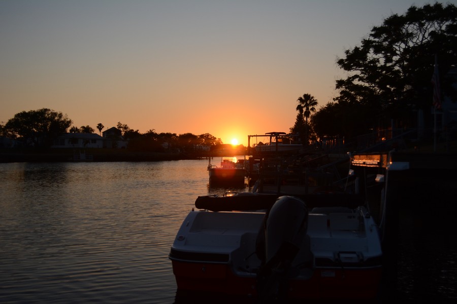 FLORIDE FLORIDE