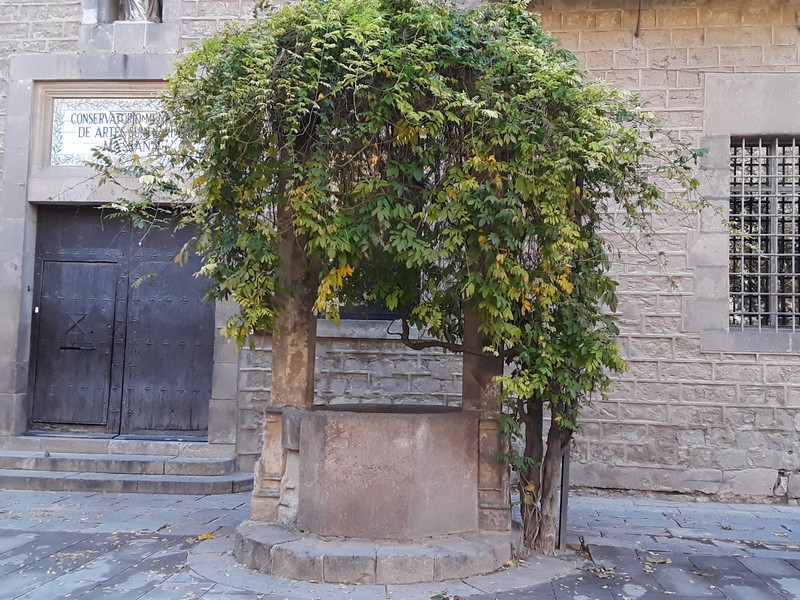 20191208_130042 place bibliothèque Barcelone