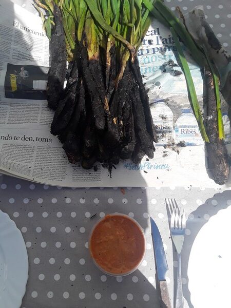 20200307_145708 calçot