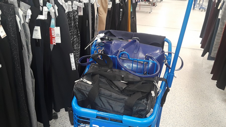 20190205_145647 chat faisant les courses