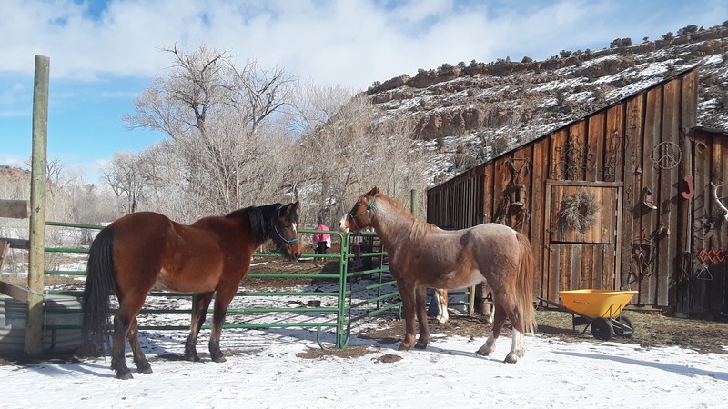 20190124_121624 ranch Colorado