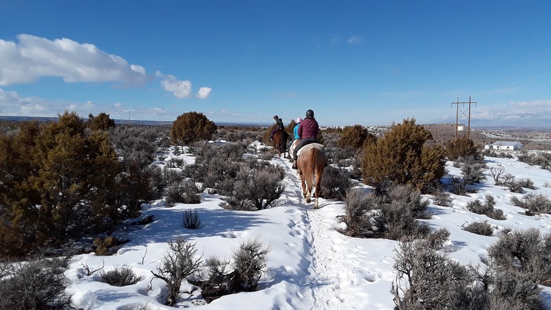 20190124_131641 randonnée à cheval Colorado