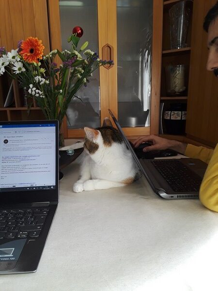 20201218_110219 co-working Perpignan